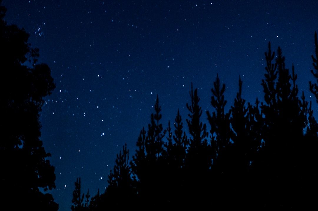 Little Insomniac: Your Secret Weapon for All-Night Coding Sessions